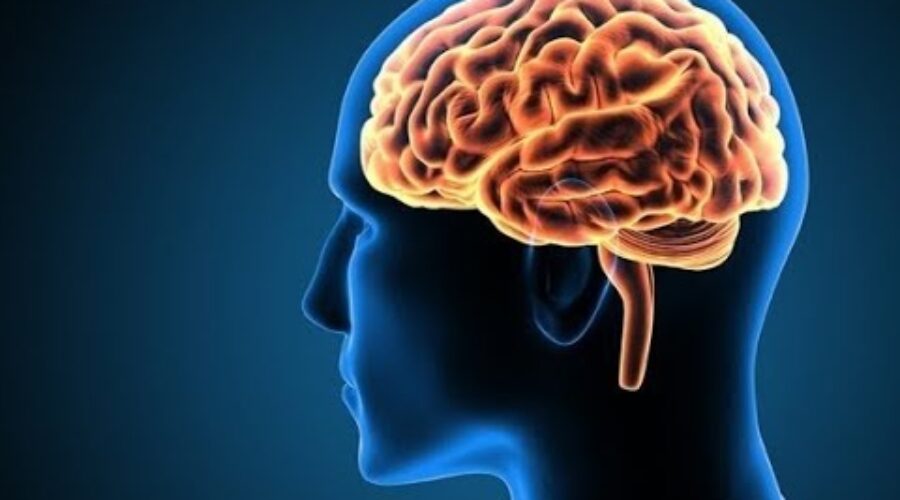 आपके दिमाग के बारे में तथ्य | Enigmatic Facts About the Human Brain and Consciousness