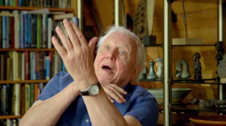 Attenborough Recounts Dangerous Plane Take Off! | Zoo Quest In Colour #Attenborough90 | BBC