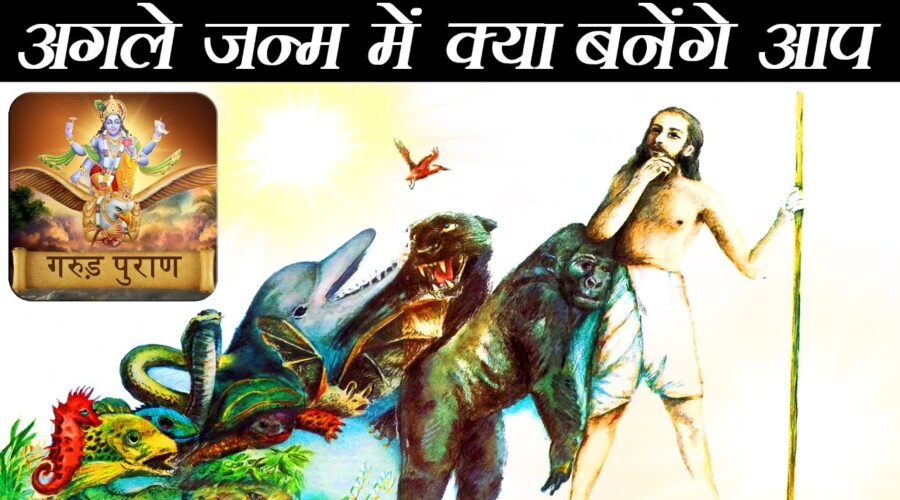 किस पाप के कारण अगले जन्म में मिलती है कौन सी योनि – गरुड़ पुराण | Your Sins decide your Next Rebirth