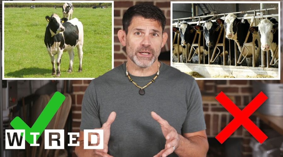 What Did We Do Wrong With Dairy Products? | WIRED