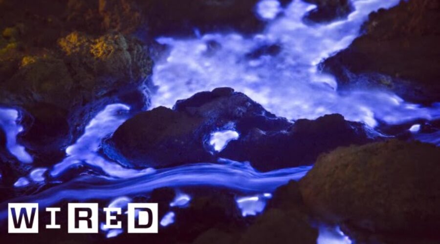 Talking Pictures | The Blue Lava of Indonesia