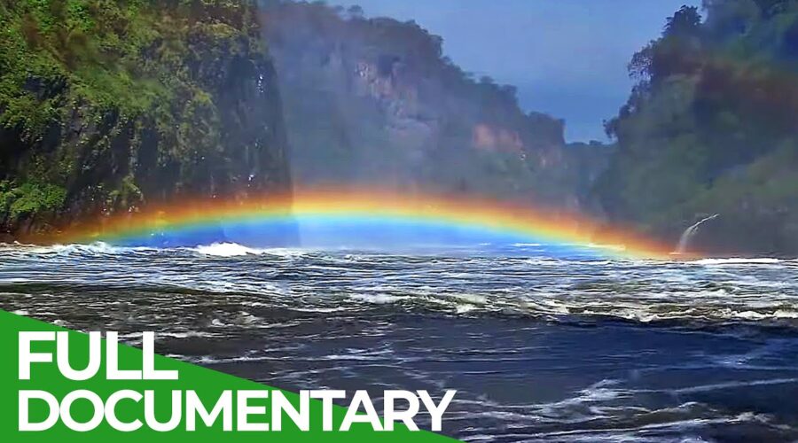 Earth – Our Precious & Endangered Home | Free Documentary Nature