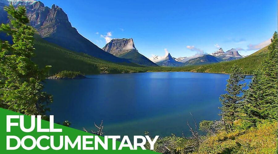 The National Parks – America’s Wildlife Refuge | Free Documentary Nature