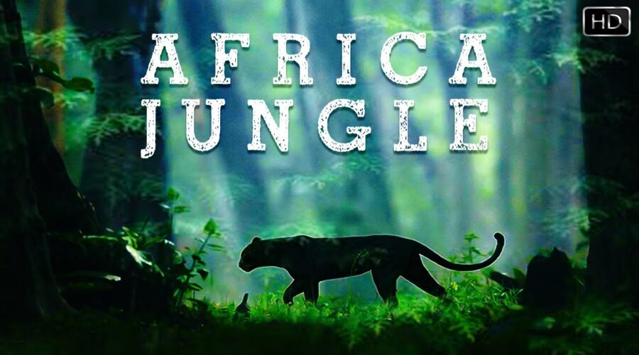 आफ्रिका का वो भयानक जंगल जहाँ रेहते है भयानक जानवर | Africa Jungle