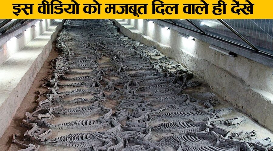 कमज़ोर दिल वाले इस विडियो से दूर रहें ||  Most Amazing Archaeological Discoveries