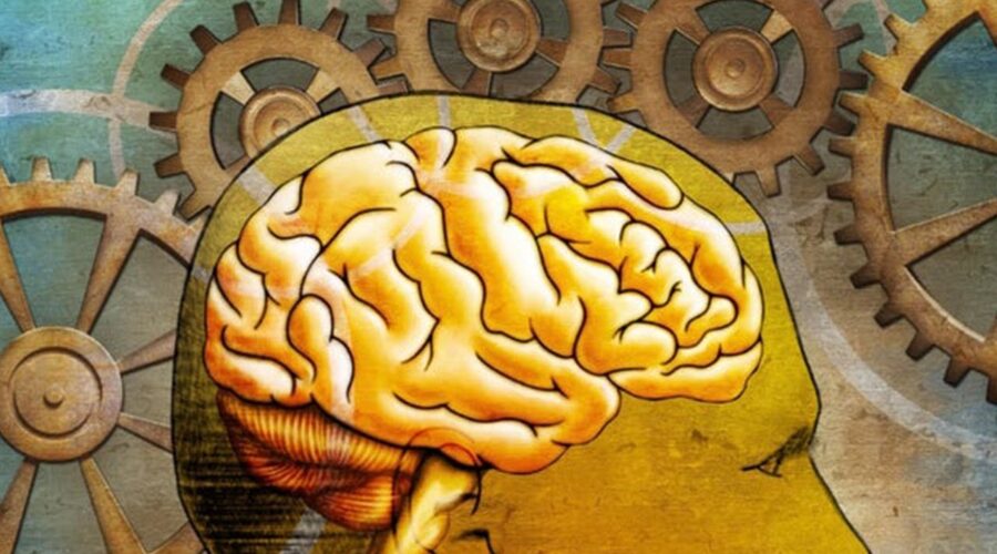 दिमाग तेज़ करने का तरीका | How to Use Your Brain More Effectively (Scientific Ways)