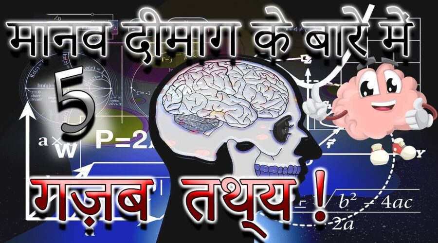 मानव मस्तिष्क के बारे में 5 आश्चर्यजनक तथ्य | 5 Stunning Facts About The Human Brain