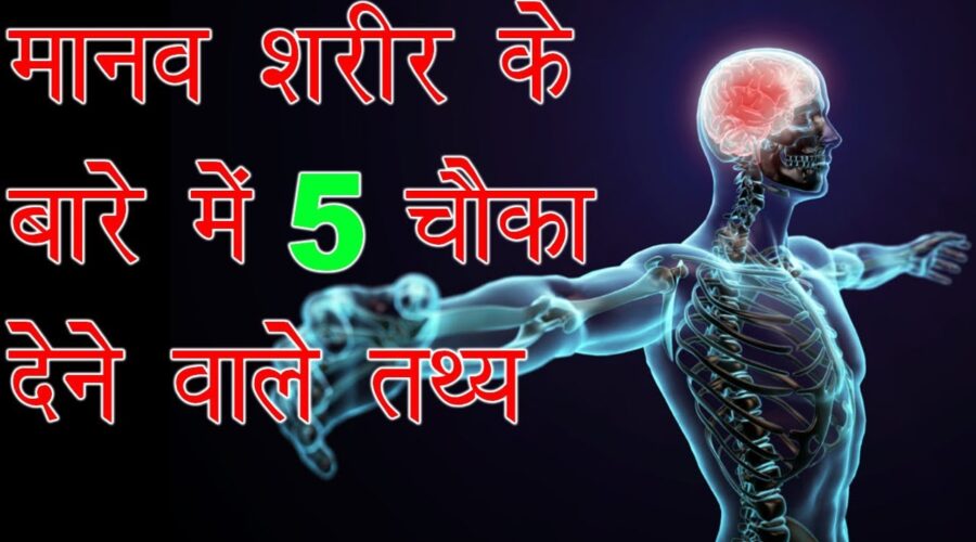 मानव शरीर के बारे में  5 चौंका देने वाले तथ्य | Top 5 Staggering Facts About The Human Body