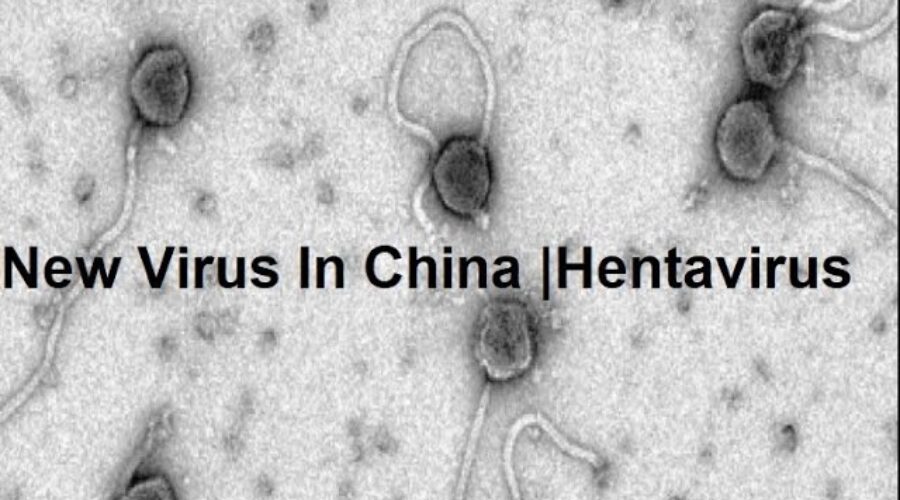 New Virus in China | HantaVirus