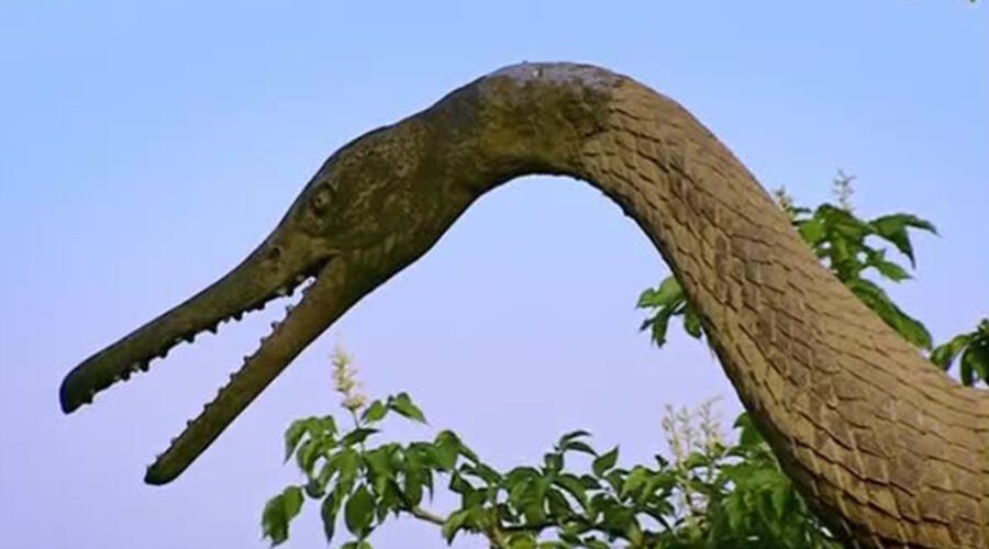 Dinosaurs: The Facts and Fiction | How to Build a Dinosaur | BBC Earth