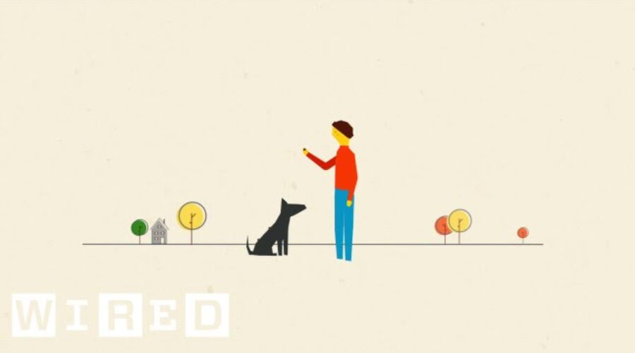 How a Dog Inspired Velcro and a Bat Inspired Radar | Think Like a Tree