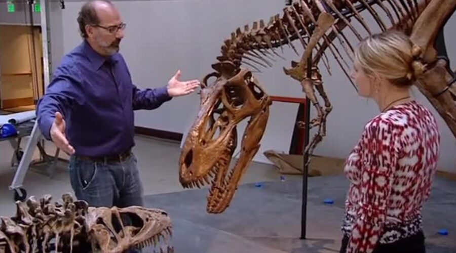 T-Rex Growth Spurt | How to Build a Dinosaur | BBC Earth