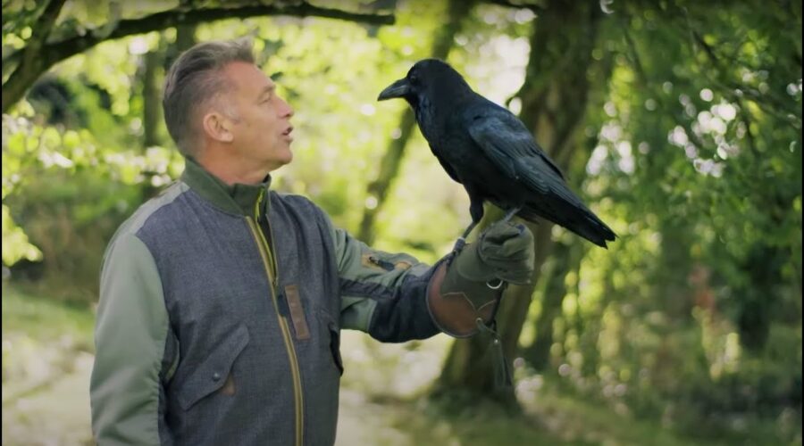 The Raven Who Solves Puzzles | Animal Einsteins | BBC Earth